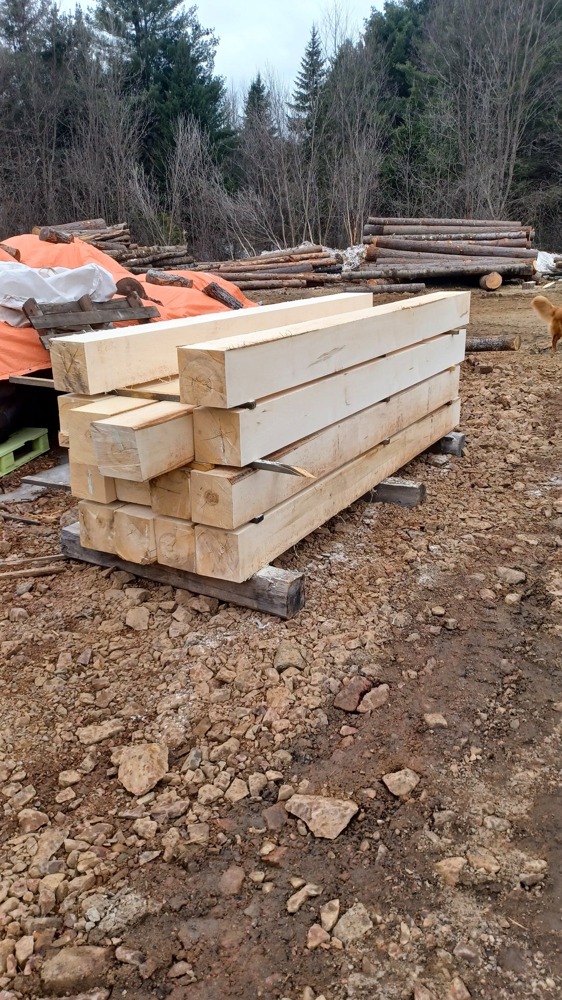 Rough Lumber FAQ | Alice Forestry Co.