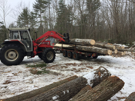 Ottawa Valley Rough Lumber & Sawmill Supply | Alice Forestry Co.